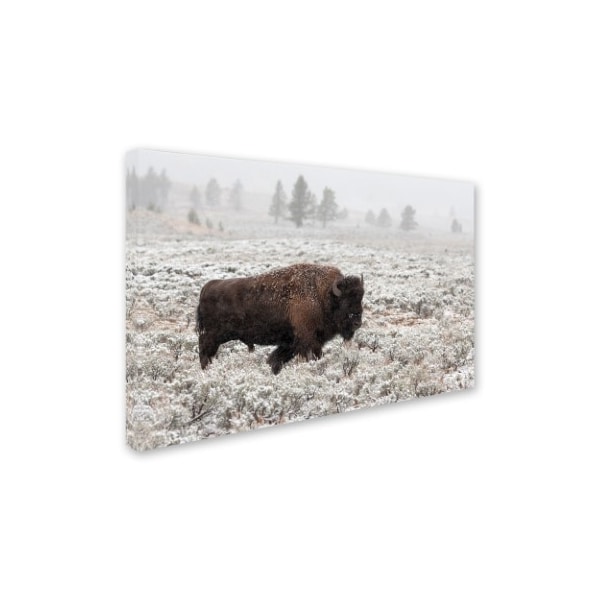 Alfred Forns 'Late Fall Yellowstone' Canvas Art,30x47